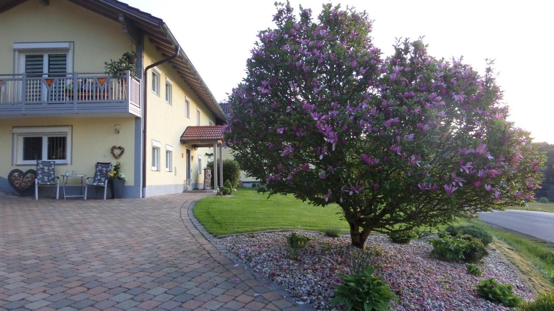 Apartmán Fw & Fh Luesselfeld Zwiesel Exteriér fotografie